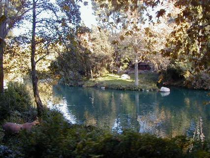 Waterway from Disneyland Train<br>Location: <a href="https://www.google.com/maps/search/?api=1&query=33.81383,-117.92223" target="_new">Disneyland</a>